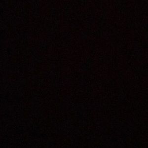 Meet your Posher, Niko